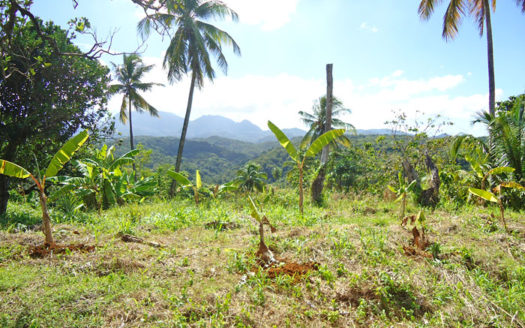 SAVANNE PAILLE, Calibishie – 2.59 Acres of Fertile Land with Spectacular views