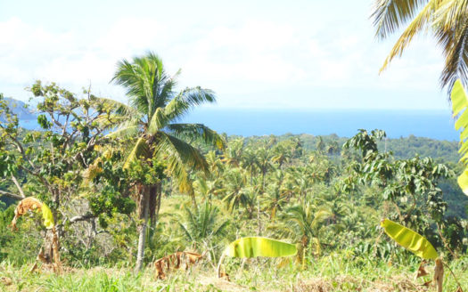 SAVANNE PAILLE, Calibishie – 2.59 Acres of Fertile Land with Spectacular views