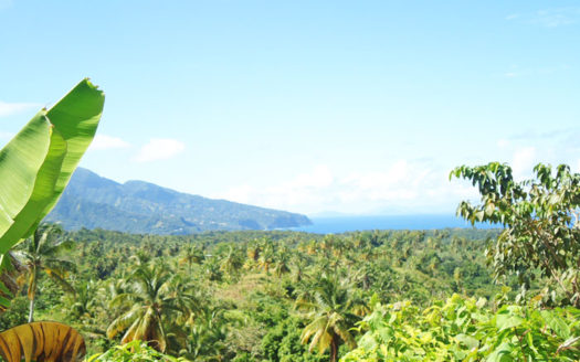 SAVANNE PAILLE, Calibishie – 2.59 Acres of Fertile Land with Spectacular views