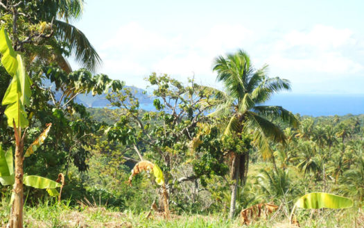 SAVANNE PAILLE, Calibishie – 2.59 Acres of Fertile Land with Spectacular views