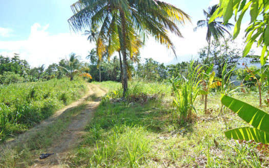 SAVANNE PAILLE, Calibishie – 2.59 Acres of Fertile Land with Spectacular views