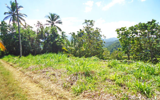 SAVANNE PAILLE, Calibishie – 2.59 Acres of Fertile Land with Spectacular views