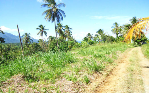 SAVANNE PAILLE, Calibishie – 2.59 Acres of Fertile Land with Spectacular views