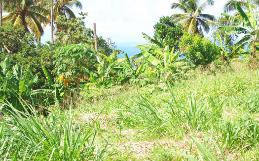SAVANNE PAILLE, Calibishie – 2.59 Acres of Fertile Land with Spectacular views