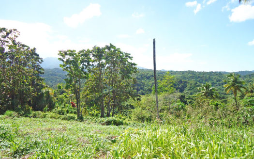 SAVANNE PAILLE, Calibishie – 2.59 Acres of Fertile Land with Spectacular views