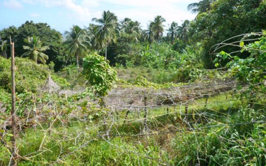 ATKINSON – 1.813 Acres Of Mainly Flat Ocean View Land