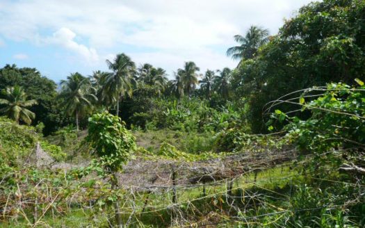 ATKINSON – 1.813 Acres Of Mainly Flat Ocean View Land