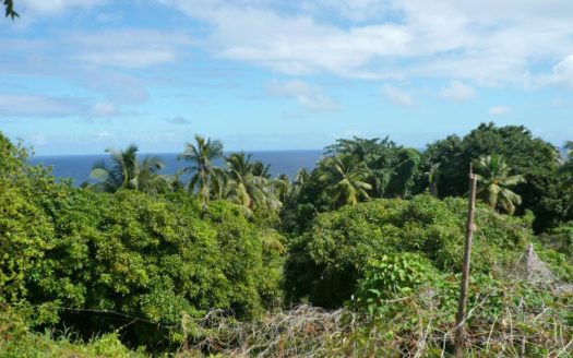 ATKINSON – 1.813 Acres Of Mainly Flat Ocean View Land