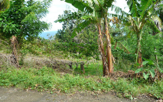 ATKINSON – 1.813 Acres Of Mainly Flat Ocean View Land