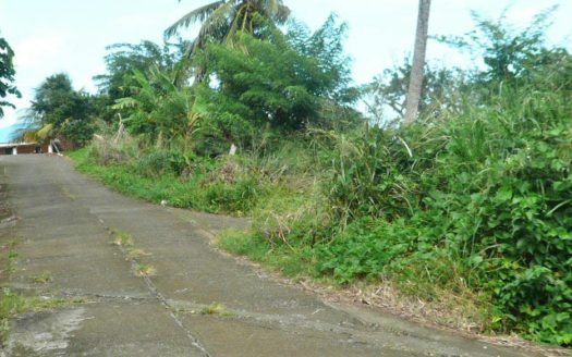 ATKINSON – 1.813 Acres Of Mainly Flat Ocean View Land