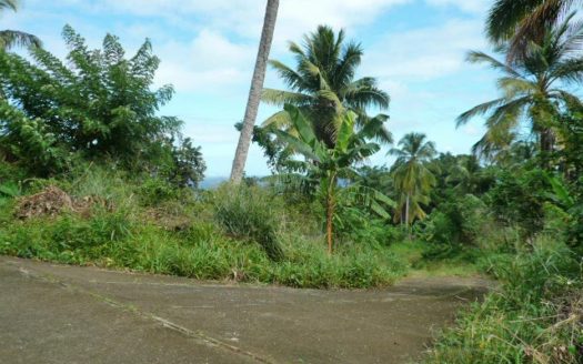 ATKINSON – 1.813 Acres Of Mainly Flat Ocean View Land