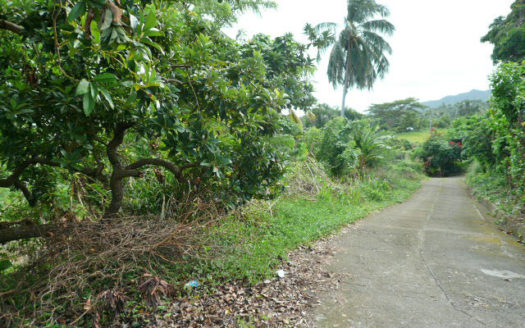 ATKINSON – 1.813 Acres Of Mainly Flat Ocean View Land