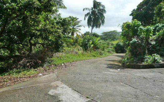 ATKINSON – 1.813 Acres Of Mainly Flat Ocean View Land