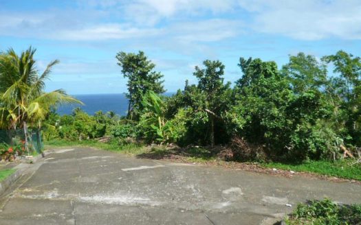 ATKINSON – 1.813 Acres Of Mainly Flat Ocean View Land