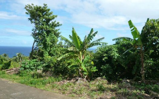 ATKINSON – 1.813 Acres Of Mainly Flat Ocean View Land