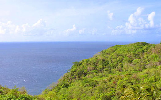 CAPUCHIN – 1.06 Acre Quiet Hillside Lot