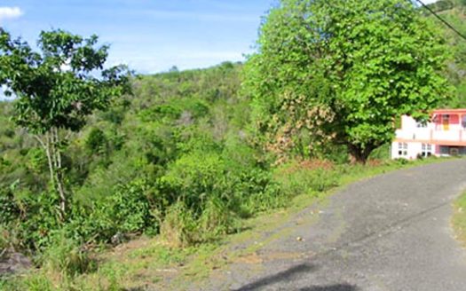 CAPUCHIN – 1.06 Acre Quiet Hillside Lot