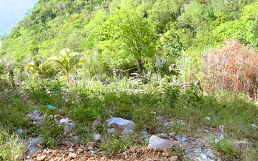CAPUCHIN – 1.06 Acre Quiet Hillside Lot