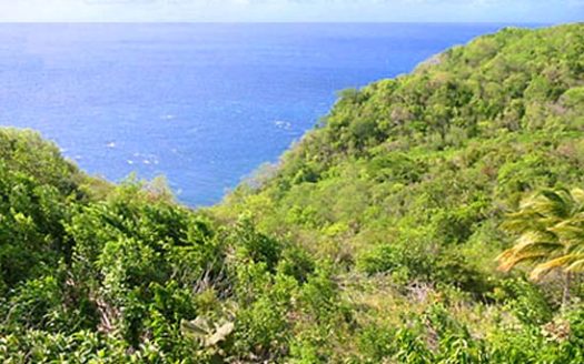 CAPUCHIN – 1.06 Acre Quiet Hillside Lot