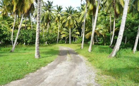 MACOUCHERIE – 0.97 Acre Prime Beachfront Land