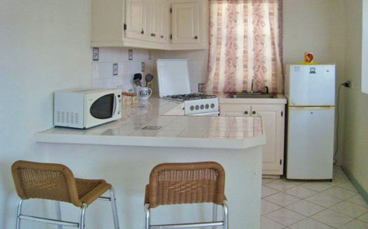 PICARD – 2 Fine Apartment Buildings Comprising 11 Beds