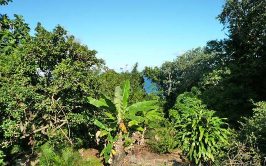 VIEILLE CASE – 4 Bedroom Spacious Family Home