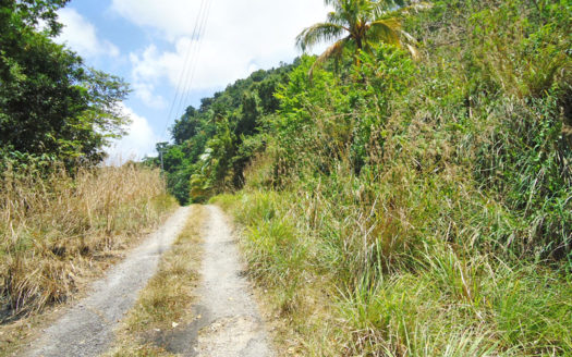 PICARD – 3.776 Acres of Elevated Vacant Land with Sea View