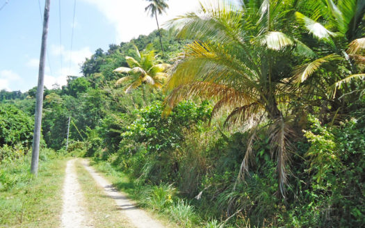 PICARD – 3.776 Acres of Elevated Vacant Land with Sea View