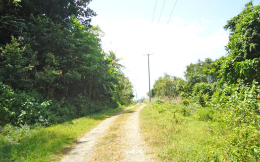 PICARD – 0.501 Acre Elevated Vacant Lot with Sea Views