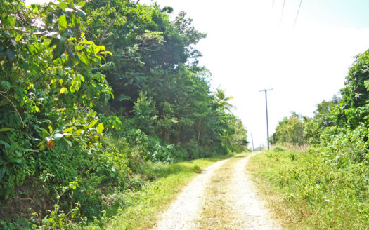 PICARD – 0.501 Acre Elevated Vacant Lot with Sea Views