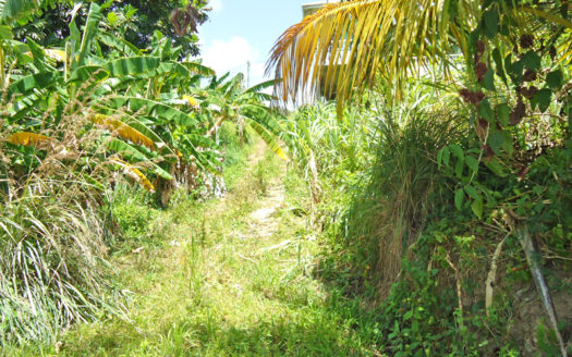 PICARD – 22,909.sq.ft Vacant Building Lot