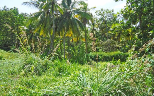 PICARD – 22,909.sq.ft Vacant Building Lot