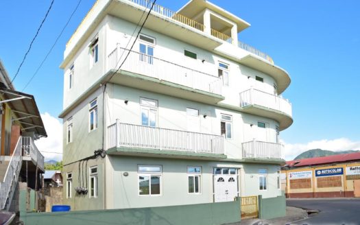 POTTERSVILLE – Income Property 3 Storey Apartment Building
