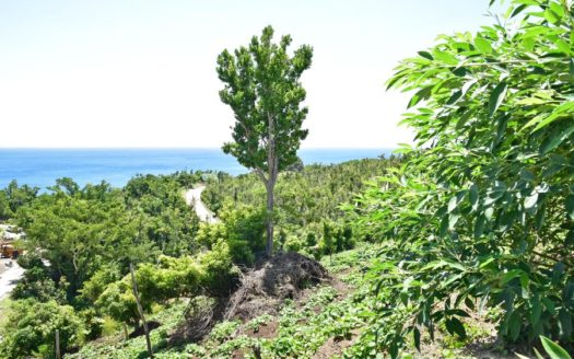 MORNE-A-LOUIS – 0.5 Acre Hillside Vacant Land With Spectacular Views