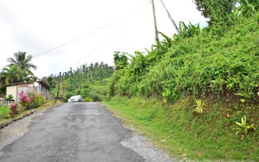 BELLES – 3.24 Acres Of Rainforest With River & Mountain Views