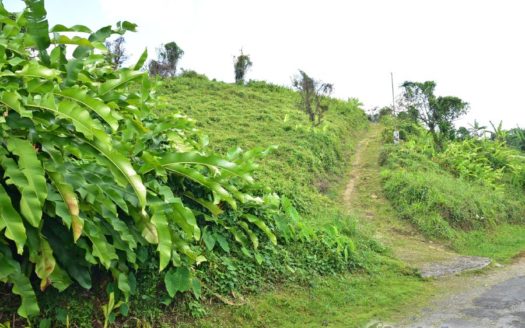 BELLES – 3.24 Acres Of Rainforest With River & Mountain Views