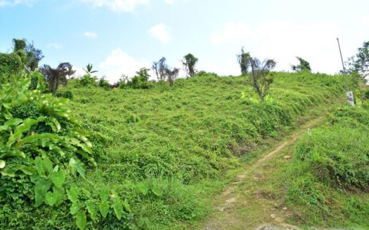 BELLES – 3.24 Acres Of Rainforest With River & Mountain Views