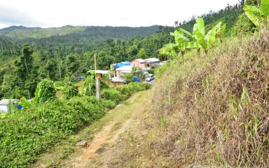 BELLES – 3.24 Acres Of Rainforest With River & Mountain Views