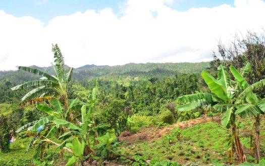 BELLES – 3.24 Acres Of Rainforest With River & Mountain Views