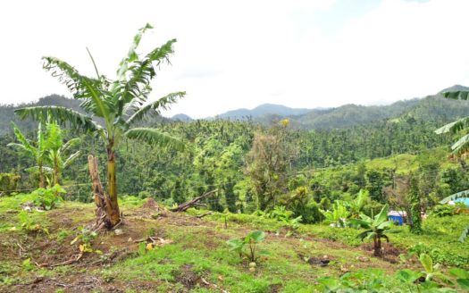 BELLES – 3.24 Acres Of Rainforest With River & Mountain Views