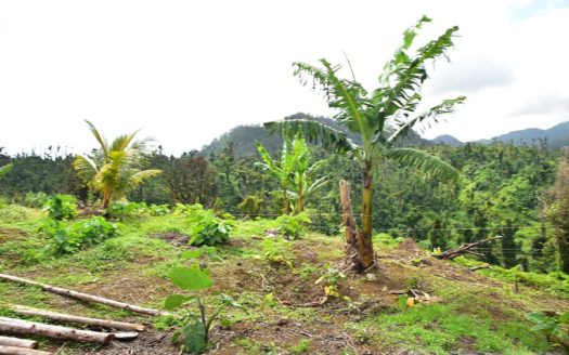 BELLES – 3.24 Acres Of Rainforest With River & Mountain Views