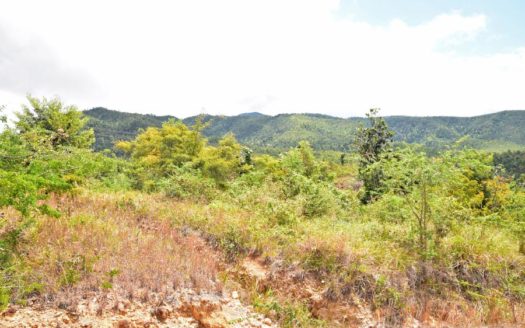 DUBLANC – 13.53 Acres Of Development Land With Spectacular Views