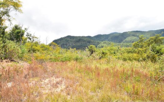 DUBLANC – 13.53 Acres Of Development Land With Spectacular Views