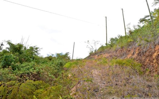 DUBLANC – 13.53 Acres Of Development Land With Spectacular Views