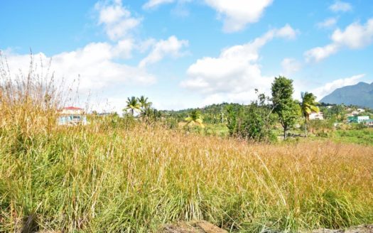 Warner – 1.233 Acres Of Elevated Land With Sea View