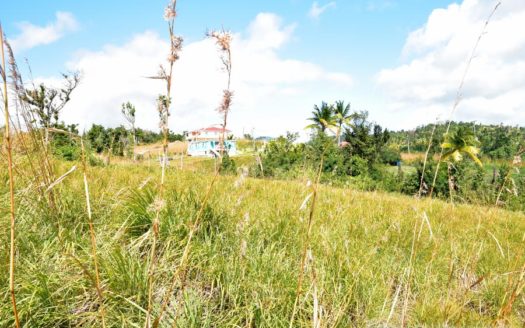 Warner – 1.233 Acres Of Elevated Land With Sea View