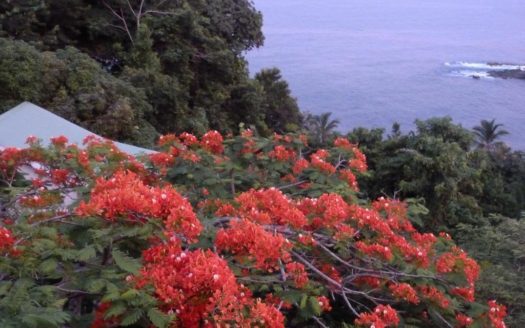 CASTLE BRUCE – Beau Rive Hotel