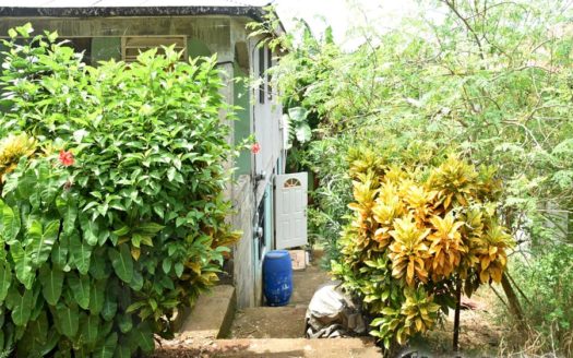 WESLEY – Traditional 2 Storey Building On 4,000.sq.ft.