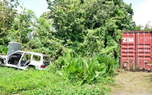 BALVIN, PORTSMOUTH – 12,320.sq.ft. Vacant Land