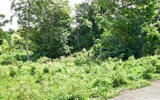 BALVIN, PORTSMOUTH – 12,320.sq.ft. Vacant Land